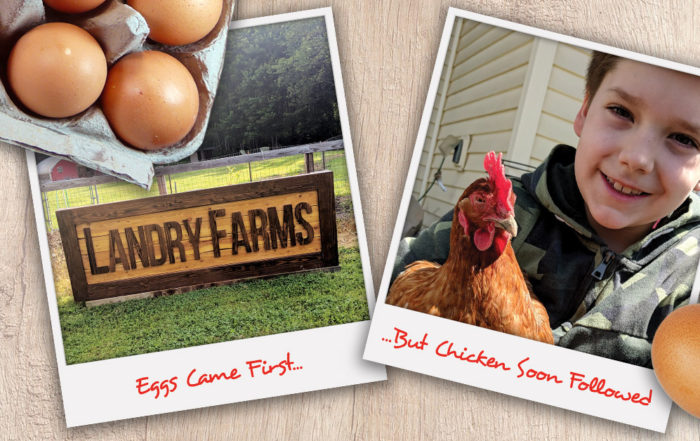 Locally Grown Chicken and Eggs in Syracuse