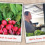 5 Tips for Buying Local Food Syracuse