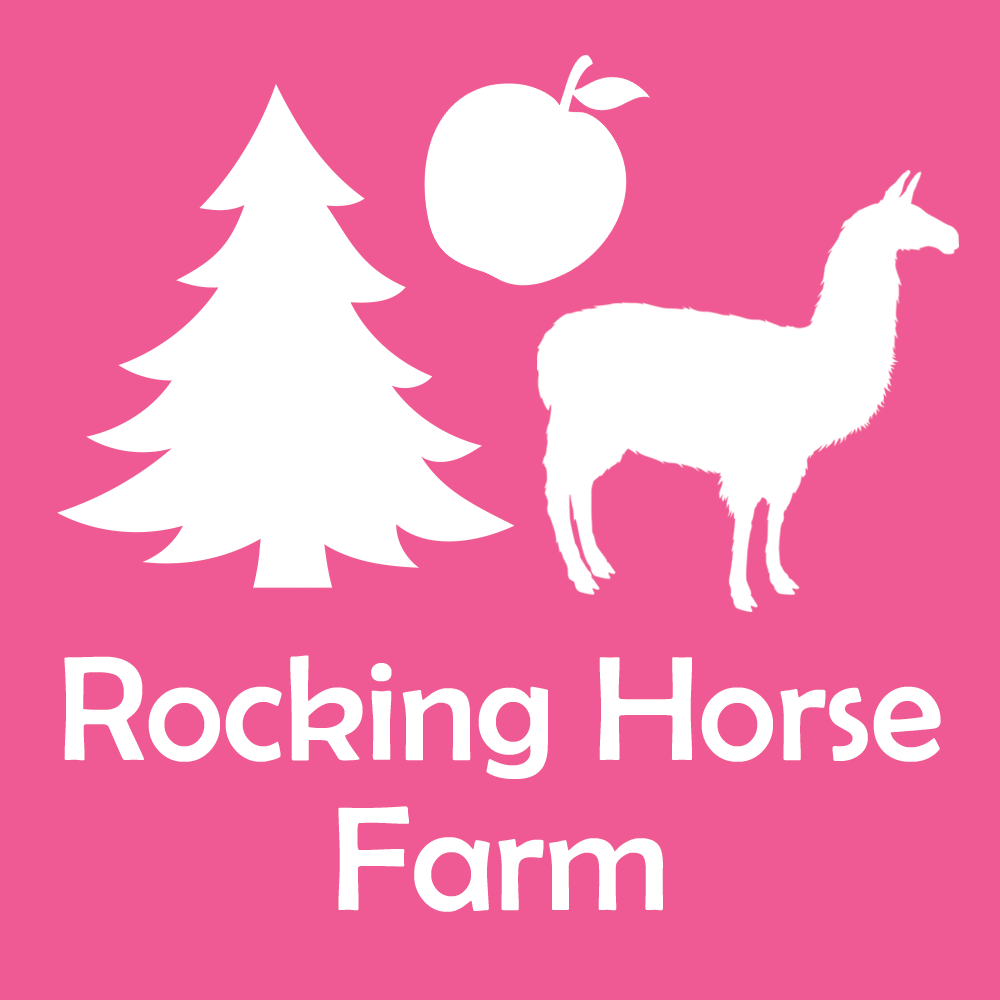 Rocking Horse Farm at ON Farm Fest 2024